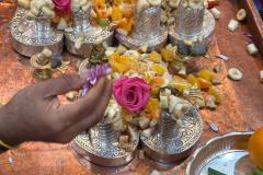 WhatsApp-Image-2026-04-06-at-20.07.14-19